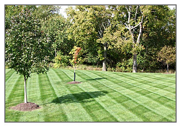 Lawn Mowing