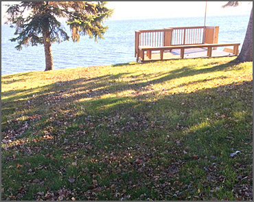Before Spring Clean Up