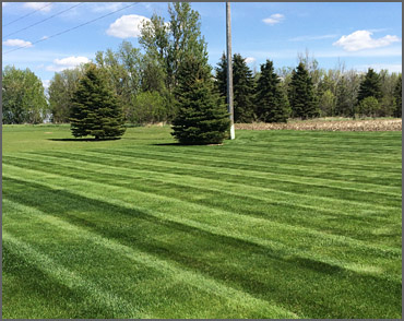 Watertown SD Lawn Mowing