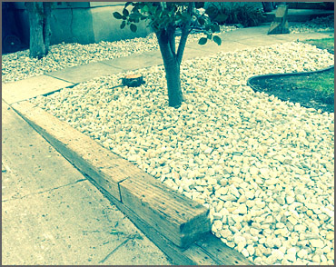 After Picture Landscape