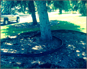 Landscaping