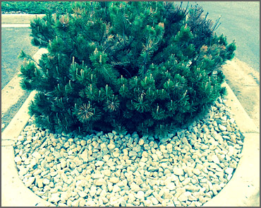 Watertown SD Landscaping